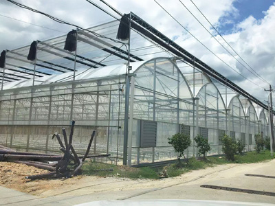 完善的售后服务